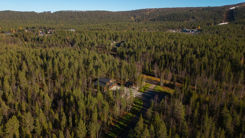 An aerial view across the forest towards the Levi fell, with the ski slopes visible on the horizon and the cabin in the foreground.